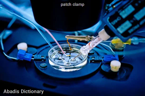 patch clamp